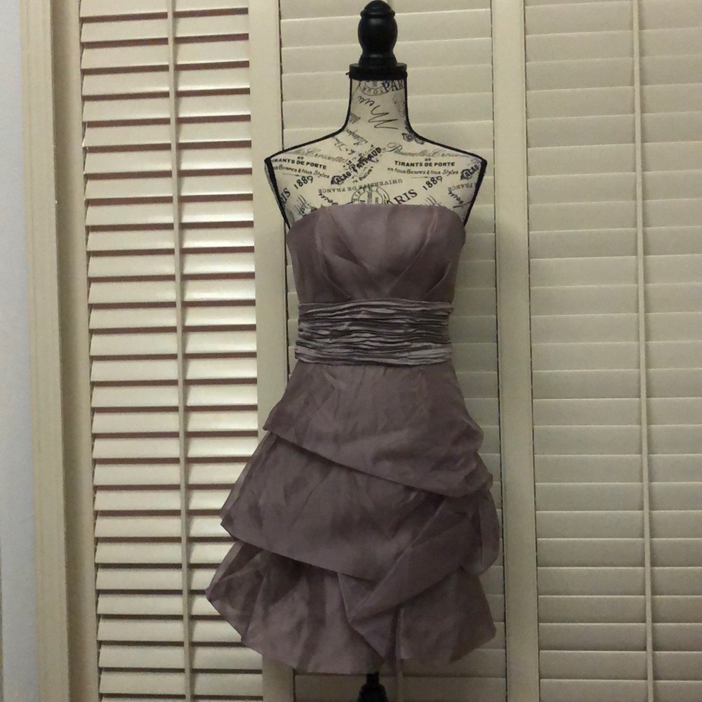 New with Tags Max and Cleo Dress